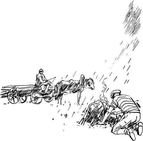 Лесные сторожа<br />(Повесть и рассказы) - i_037.jpg