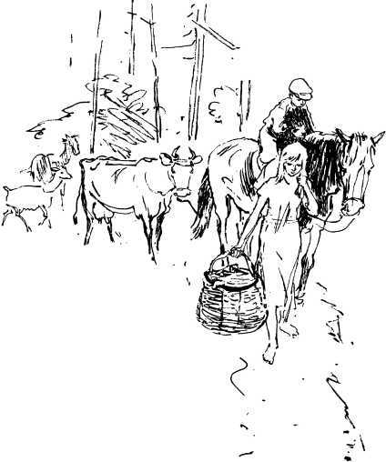 Лесные сторожа<br />(Повесть и рассказы) - i_040.jpg