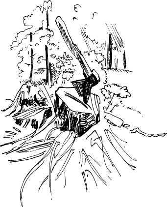 Лесные сторожа<br />(Повесть и рассказы) - i_061.jpg