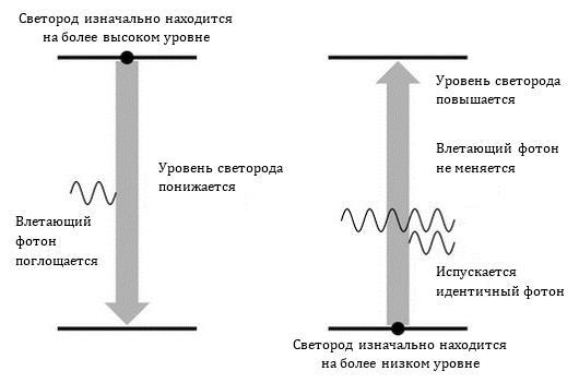 Вечное Пламя (ЛП) - _23.jpg