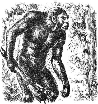 Как возникла человеческая речь - i_020.jpg