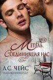 Метель, соединившая нас (ЛП) - Чейс Л. С.