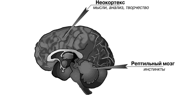 Как разумные люди создают безумный мир. Негативные эмоции. Поймать и обезвредить - i_004.png