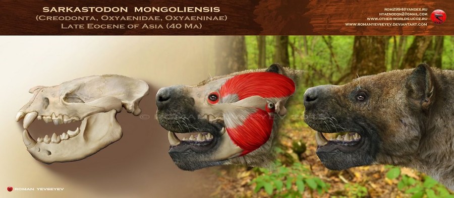 Кастор (СИ) - _50.jpg