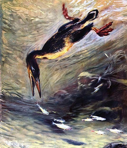 Кастор (СИ) - _14.jpg