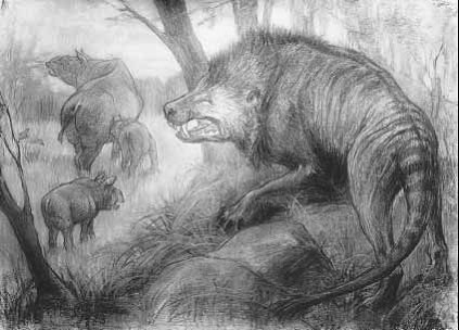 Кастор (СИ) - _55.jpg