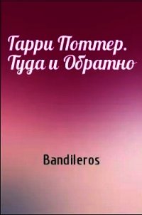 Гарри Поттер. Туда и Обратно (СИ) - Бандильерос Ганс "Bandileros"