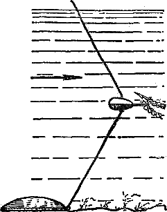 Секреты успеха (Записки рыболова) - i_051.png