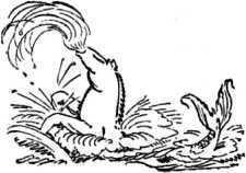 Из глубины глубин<br />(Рассказы о морском змее. Том II) - i_029.jpg