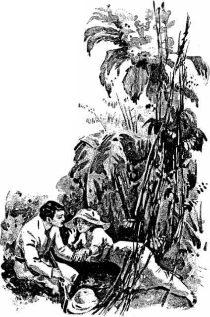 Ход больших чисел<br />(Фантастика Серебряного века. Том II) - i_007.jpg