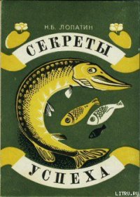 Секреты успеха (Записки рыболова) - Лопатин Николай Борисович