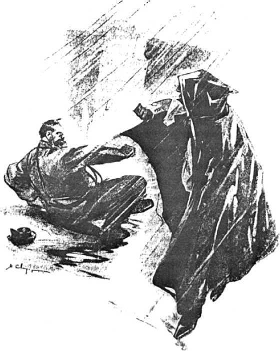 Малайский крис<br />(Преступления Серебряного века Том II) - i_019.jpg