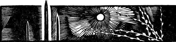 Вербы пробуждаются зимой<br />(Роман) - i_005.jpg