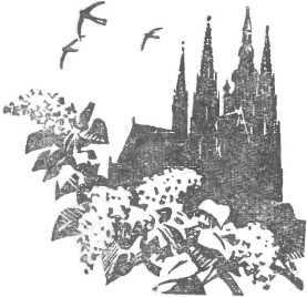 Выхожу на связь<br />(Очерки о разведчиках) - i_005.jpg