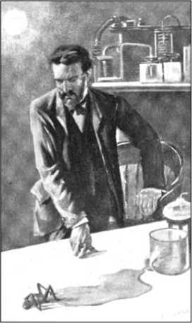 Вампиры пустыни<br />(Том II) - i_010.jpg