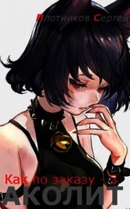 Аколит (СИ) - Плотников Сергей Александрович