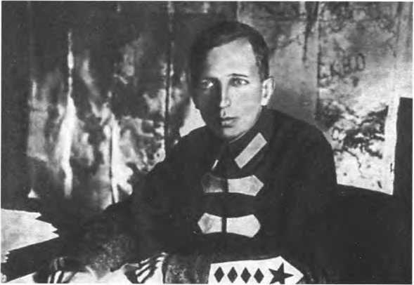 Русская армия между Троцким и Сталиным - i_037.jpg