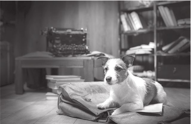 Фокус. Бизнес-роман про коучинг - i_001.jpg