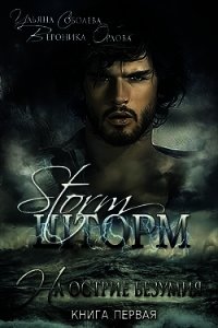 На острие безумия. Шторм. Книга 1 (СИ) - Соболева Ульяна "ramzena"