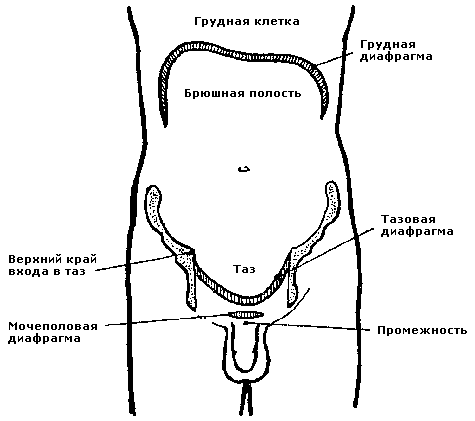 Совершенствование мужской сексуальной энергии - i_011.png