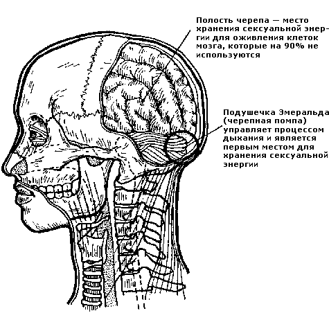 Совершенствование мужской сексуальной энергии - i_014.png