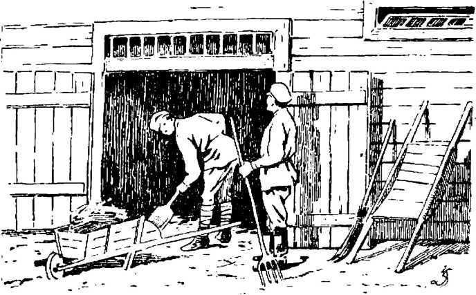 Боевой товарищ<br />(Лошадь и уход за ней) - i_008.jpg