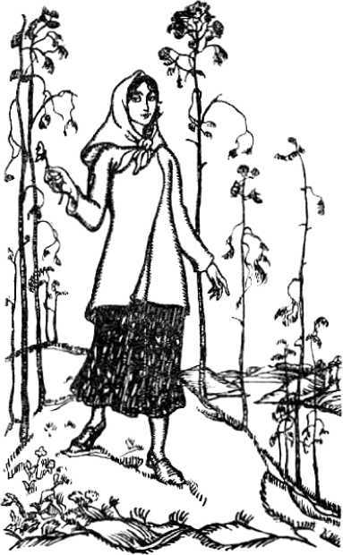 Колдовской цветок<br />(Фантастика Серебряного века. Том IX) - i_006.jpg