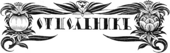 Колдовской цветок<br />(Фантастика Серебряного века. Том IX) - i_022.jpg