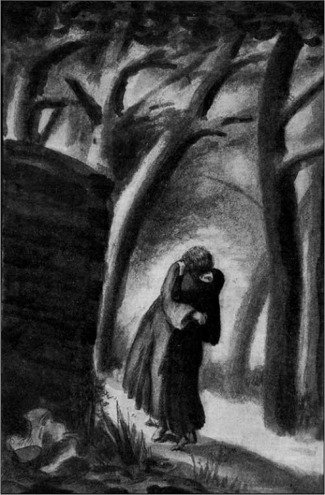 Колдовской цветок<br />(Фантастика Серебряного века. Том IX) - i_029.jpg