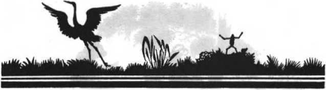 Колдовской цветок<br />(Фантастика Серебряного века. Том IX) - i_042.jpg
