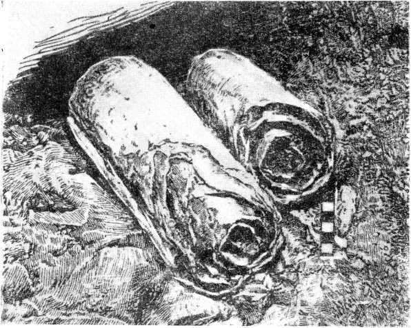 Священные книги и кто их написал - i_008.jpg