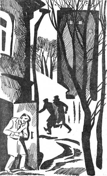 Ночная погоня<br />(Повести) - i_012.jpg