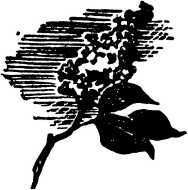 Мы живем на день раньше<br />(Рассказы) - i_012.jpg