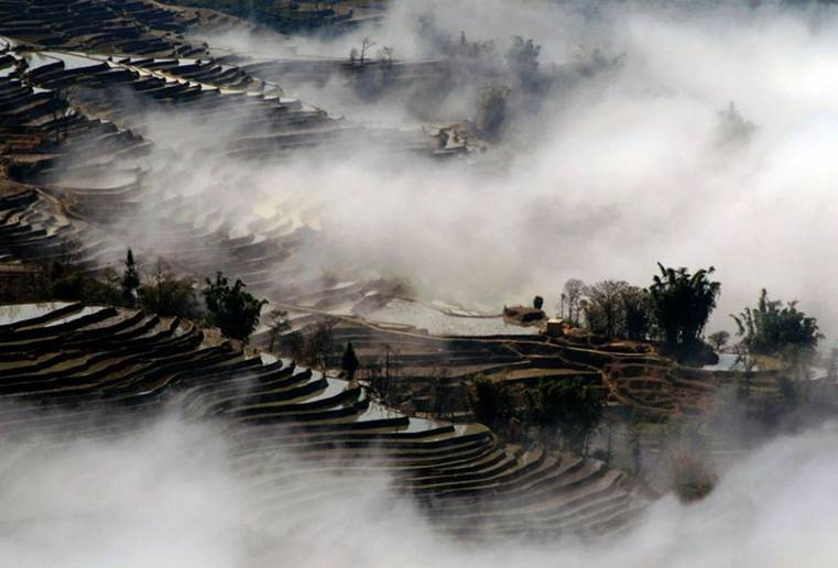 Сэнгоку Дзидай (СИ) - i_003.jpg