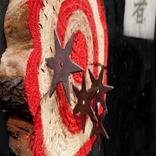 Сэнгоку Дзидай (СИ) - i_056.jpg