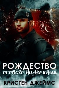 Рождество особого назначения (ЛП) - Джеймс Кристен