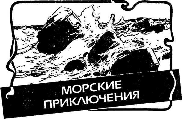 Приключения в Красном море. Книга 1<br />(Тайны красного моря. Морские приключения) - i_004.jpg