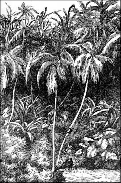 Ледниковый человек<br />(В дали времен. Том IV) - i_024.jpg