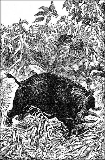 Ледниковый человек<br />(В дали времен. Том IV) - i_026.jpg