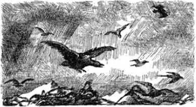 Ледниковый человек<br />(В дали времен. Том IV) - i_027.jpg