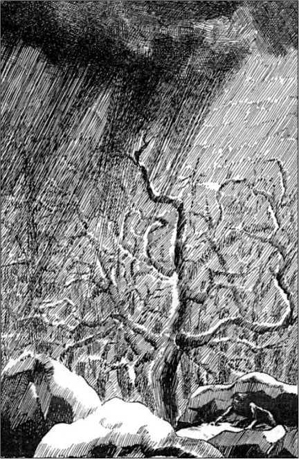 Ледниковый человек<br />(В дали времен. Том IV) - i_046.jpg