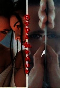 Отражение (СИ) - Литвин Светла