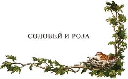 Сказки<br />(Илл. П. Дж. Линча) - i_008.jpg