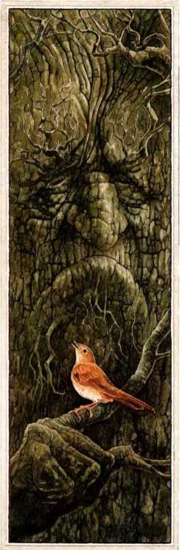 Сказки<br />(Илл. П. Дж. Линча) - i_010.jpg