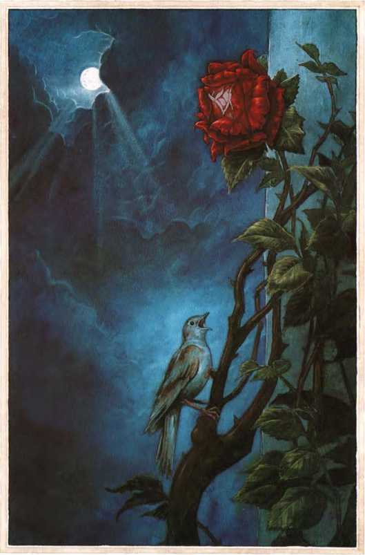 Сказки<br />(Илл. П. Дж. Линча) - i_012.jpg