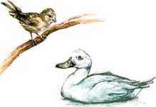 Сказки<br />(Илл. П. Дж. Линча) - i_021.jpg