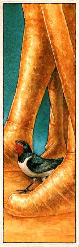 Сказки<br />(Илл. П. Дж. Линча) - i_023.jpg