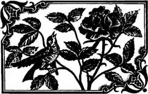 Волшебные сказки. Преступление лорда Артура Сэвила<br />(Илл. Ж. М. Зинченко) - i_009.jpg