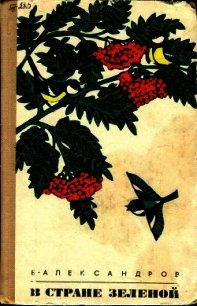 В стране зеленой - Александров Борис Александрович