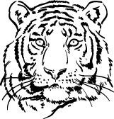 Инструменты гигантов. Секреты успеха, приемы повышения продуктивности и полезные привычки выдающихся людей - i_020.jpg